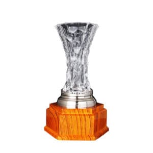 Crystal Vase Trophies