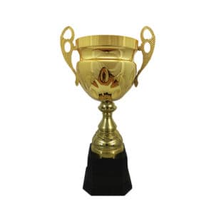 Italian Cup Trophies