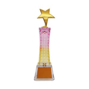 Star LED Trophies