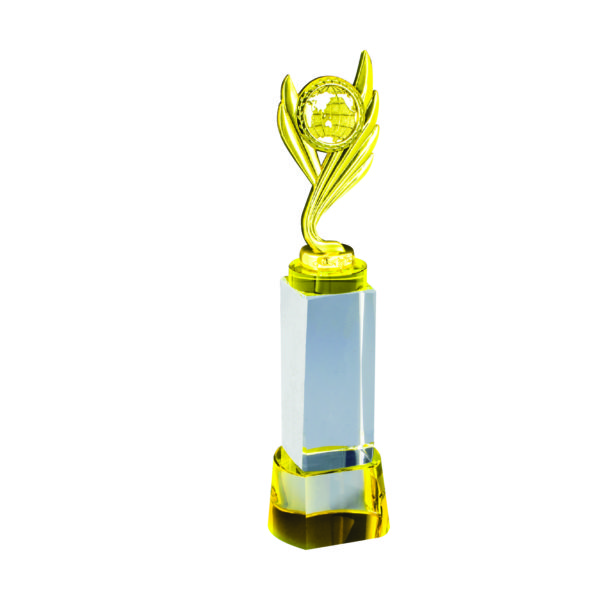 Beautiful Crystal Trophies CTICT780A – Crystal  Trophy | Trophy Supplier at Clazz Trophy Malaysia