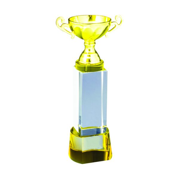 Beautiful Crystal Trophies CTICT782 – Exclusive Crystal Trophy | Trophy Supplier at Clazz Trophy Malaysia
