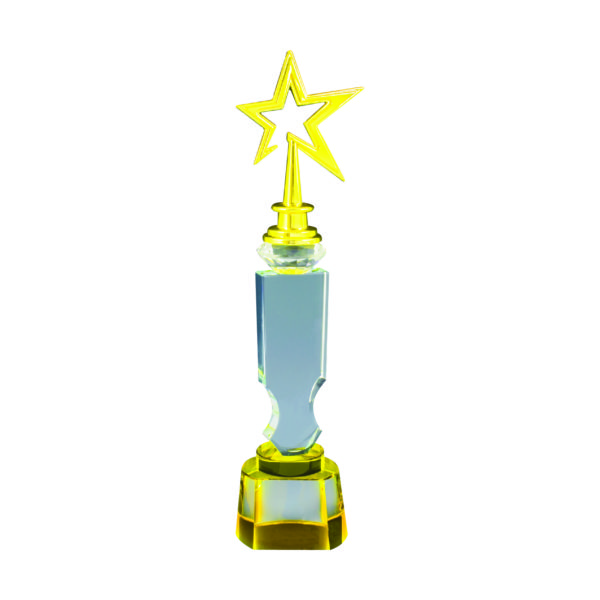 Star Crystal Trophies CTICT770 – Exclusive Crystal Star Trophy | Trophy Supplier at Clazz Trophy Malaysia