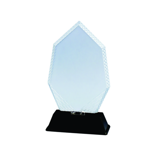 Beautiful Crystal Plaques CTOCC117 – Exclusive Crystal Award | Trophy Supplier at Clazz Trophy Malaysia