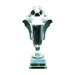 Beautiful Crystal Trophies CTICT001– Exclusive Crystal Trophy | Trophy Supplier at Clazz Trophy Malaysia