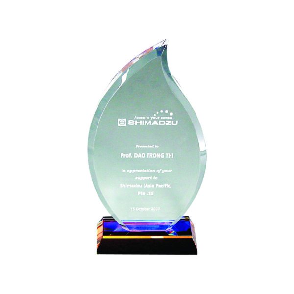 Beautiful Crystal Plaques CTICP001 – Exclusive Crystal Award | Trophy Supplier at Clazz Trophy Malaysia