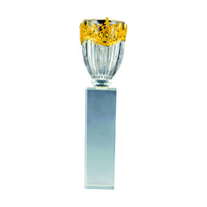 Crystal Vase Trophies CTICV151B – Crystal Vase Trophy | Trophy Supplier at Clazz Trophy Malaysia