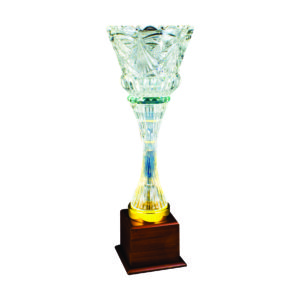 Crystal Vase Trophies CTICV721 – Exclusive Crystal Vase Trophy | Trophy Supplier at Clazz Trophy Malaysia