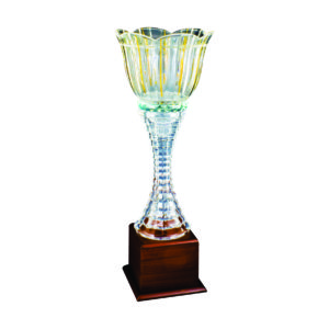 Crystal Vase Trophies CTICV722 – Exclusive Crystal Vase Trophy | Clazz Trophy Supplier Malaysia