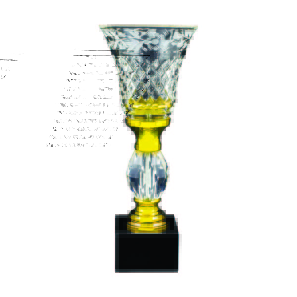 Crystal Vase Trophies CTICV141 – Exclusive Crystal Vase Trophy | Trophy Supplier at Clazz Trophy Malaysia