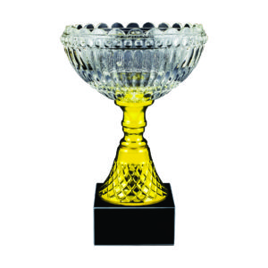 Crystal Vase Trophies CTICV142 – Exclusive Crystal Vase Trophy | Clazz Trophy Supplier Malaysia