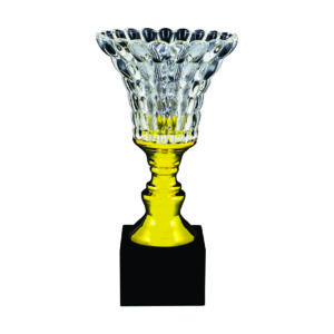 Crystal Vase Trophies CTICV143 – Exclusive Crystal Vase Trophy | Clazz Trophy Supplier Malaysia