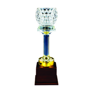 Crystal Vase Trophies CTICV162 – Exclusive Crystal Vase Trophy | Clazz Trophy Supplier Malaysia