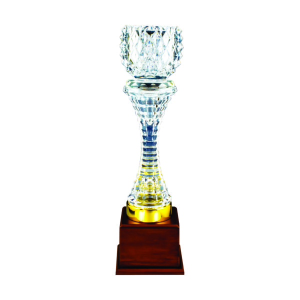 Crystal Vase Trophies CTICV163 – Exclusive Crystal Vase Trophy | Trophy Supplier at Clazz Trophy Malaysia