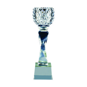 Crystal Vase Trophies CTICV164 – Exclusive Crystal Vase Trophy | Clazz Trophy Supplier Malaysia