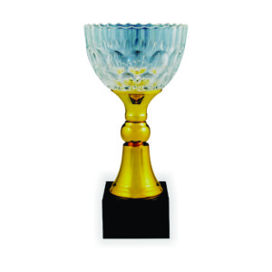 Crystal Vase Trophies CTICV064 – Exclusive Crystal Vase Trophy | Clazz Trophy Supplier Malaysia