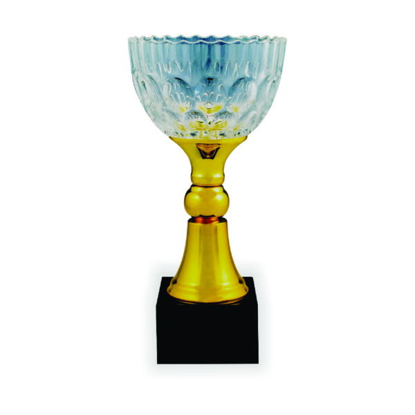 Crystal Vase Trophies CTICV064 – Exclusive Crystal Vase Trophy | Trophy Supplier at Clazz Trophy Malaysia