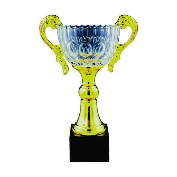 Crystal Vase Trophies CTICV065 – Exclusive Crystal Vase Trophy | Clazz Trophy Supplier Malaysia