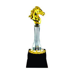 Beautiful Crystal Trophies CTICV505 –  Exclusive Crystal Trophy | Trophy Supplier at Clazz Trophy Malaysia