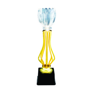 Crystal Vase Trophies CTIMT044G – Exclusive Crystal Vase Trophy | Clazz Trophy Supplier Malaysia