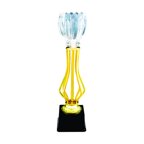 Crystal Vase Trophies CTIMT044G – Exclusive Crystal Vase Trophy | Trophy Supplier at Clazz Trophy Malaysia