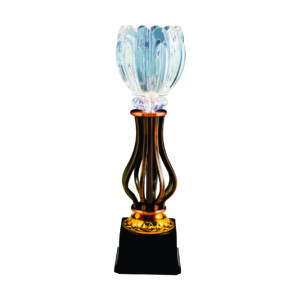 Crystal Vase Trophies CTIMT044B – Exclusive Crystal Vase Trophy | Clazz Trophy Supplier Malaysia