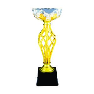 Crystal Vase Trophies CTIMT048 – Exclusive Crystal Vase Trophy | Clazz Trophy Supplier Malaysia