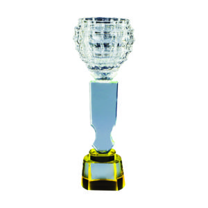 Crystal Vase Trophies CTICT738 – Exclusive Crystal Vase Trophy | Trophy Supplier at Clazz Trophy Malaysia