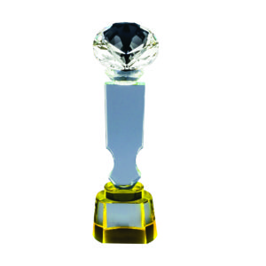 Beautiful Crystal Trophies CTICT745 – Exclusive Crystal Trophy | Trophy Supplier at Clazz Trophy Malaysia