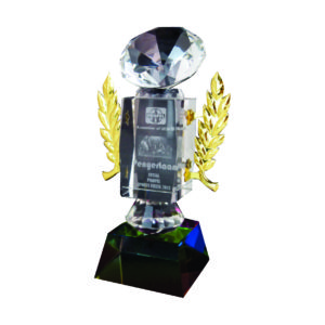 Beautiful Crystal Trophies CTICT806 – Exclusive Crystal Trophy | Trophy Supplier at Clazz Trophy Malaysia