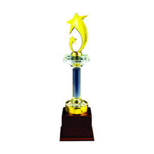Star Crystal Trophies CTICT311 – Exclusive Crystal Star Trophy | Trophy Supplier at Clazz Trophy Malaysia