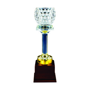 Crystal Vase Trophies CTICT312 – Exclusive Crystal Vase Trophy | Trophy Supplier at Clazz Trophy Malaysia