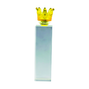 Beautiful Crystal Trophies CTICV152 – Exclusive Crystal Trophy | Trophy Supplier at Clazz Trophy Malaysia