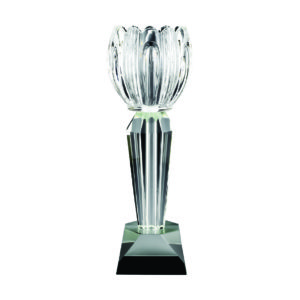 Crystal Vase Trophies CTICV533 – Exclusive Crystal Vase Trophy | Trophy Supplier at Clazz Trophy Malaysia