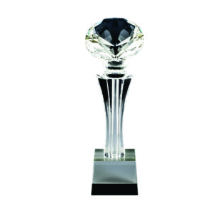 Beautiful Crystal Trophies CTICV534 – Exclusive Crystal Trophy | Trophy Supplier at Clazz Trophy Malaysia
