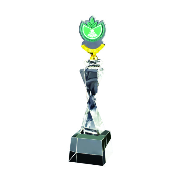 Beautiful Crystal Trophies CTICT173 – Exclusive Crystal Trophy | Trophy Supplier at Clazz Trophy Malaysia