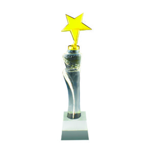 Star Crystal Trophies CTICT140 – Exclusive Crystal Star Trophy | Trophy Supplier at Clazz Trophy Malaysia