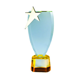 Star Crystal Plaques CTIGM123 – Exclusive Crystal Star Award | Trophy Supplier at Clazz Trophy Malaysia