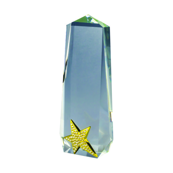 Star Crystal Plaques CTICA031 – Exclusive Crystal Star Award | Trophy Supplier at Clazz Trophy Malaysia