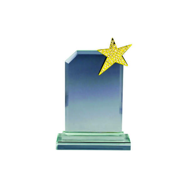 Star Crystal Plaques CTICA041 – Exclusive Crystal Star Award | Clazz Trophy Supplier Malaysia