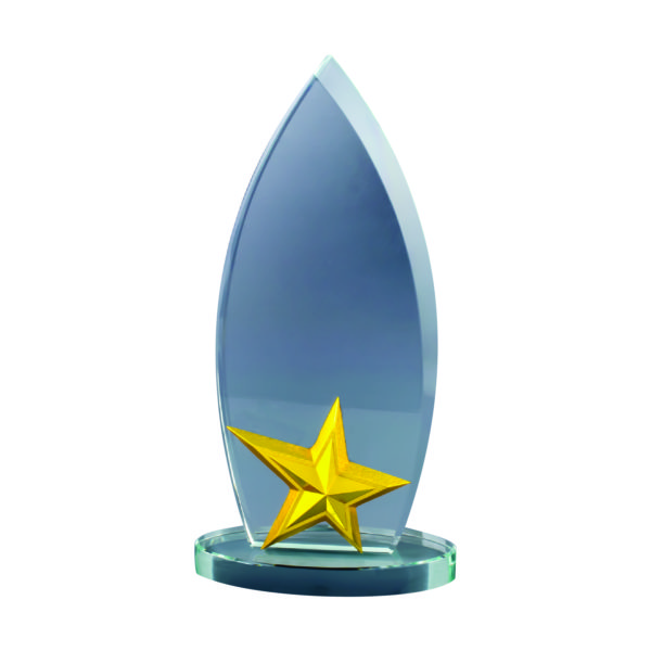 Star Crystal Plaques CTICP189 – Exclusive Crystal Star Award | Trophy Supplier at Clazz Trophy Malaysia