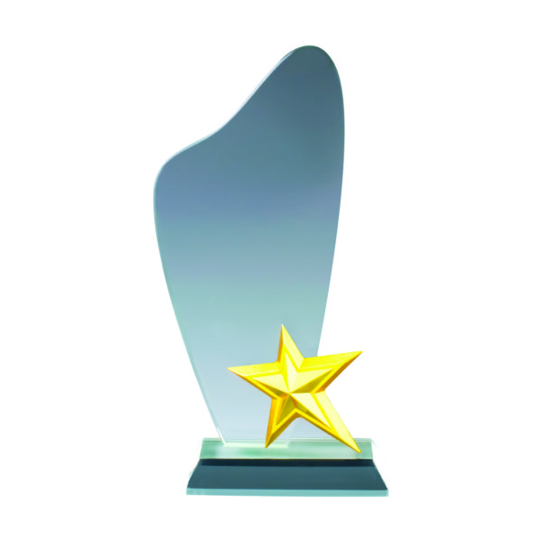 Star Crystal Plaques CTICP190 – Exclusive Crystal Star Award | Trophy Supplier at Clazz Trophy Malaysia
