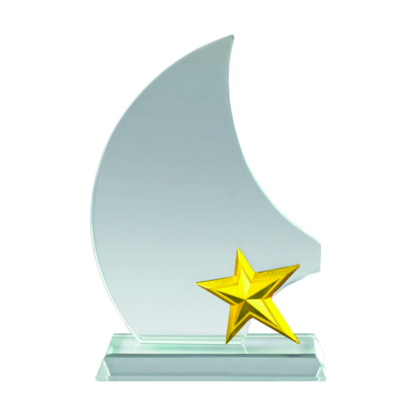 Star Crystal Plaques CTICP198 – Exclusive Crystal Star Award | Trophy Supplier at Clazz Trophy Malaysia