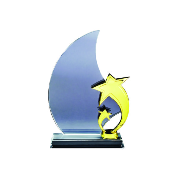 Star Crystal Plaques CTIGM006 – Exclusive Crystal Star Award | Trophy Supplier at Clazz Trophy Malaysia