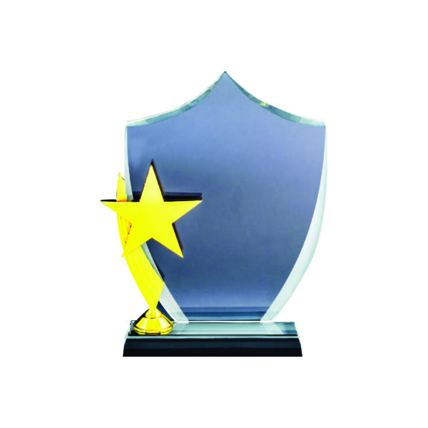 Star Crystal Plaques CTIGM044 – Exclusive Crystal Star Award | Trophy Supplier at Clazz Trophy Malaysia