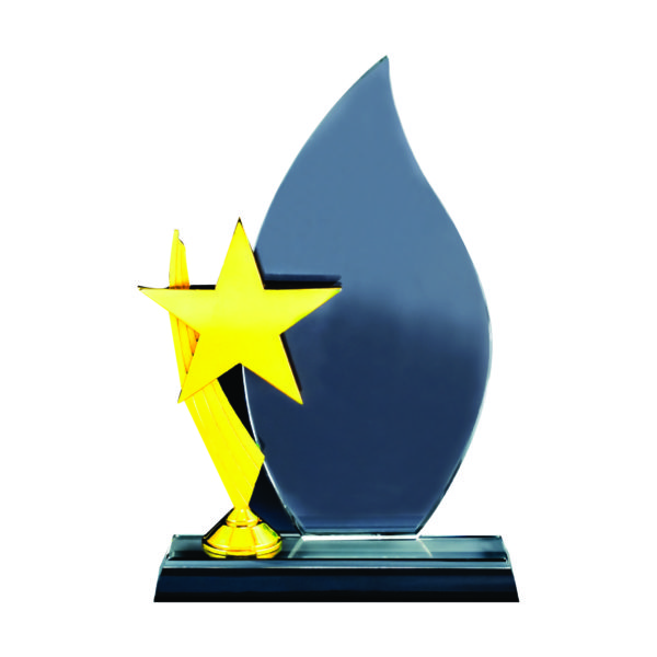 Star Crystal Plaques CTIGM039 – Exclusive Crystal Star Award | Trophy Supplier at Clazz Trophy Malaysia