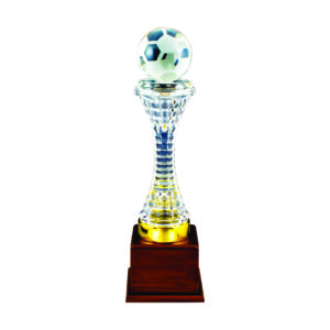 Beautiful Crystal Trophies CTICT184 – Exclusive Crystal Trophy | Trophy Supplier at Clazz Trophy Malaysia