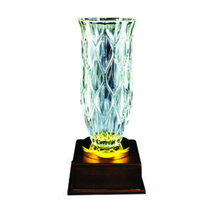 Crystal Vase Trophies CTICV719 – Exclusive Crystal Vase Trophy | Clazz Trophy Supplier Malaysia