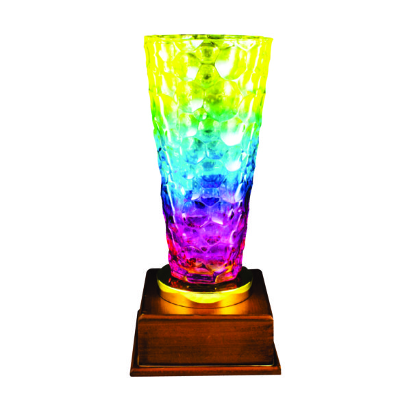 Crystal Vase Trophies CTICV709 – Crystal Vase Trophy | Trophy Supplier at Clazz Trophy Malaysia