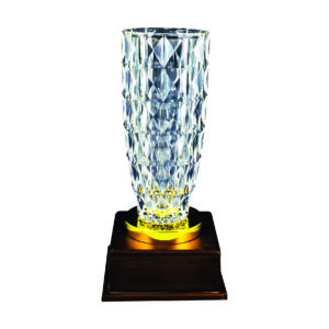 Crystal Vase Trophies CTICV703 – Exclusive Crystal Vase Trophy | Clazz Trophy Supplier Malaysia