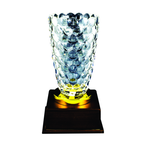 Crystal Vase Trophies CTICV705 – Exclusive Crystal Vase Trophy | Clazz Trophy Supplier Malaysia